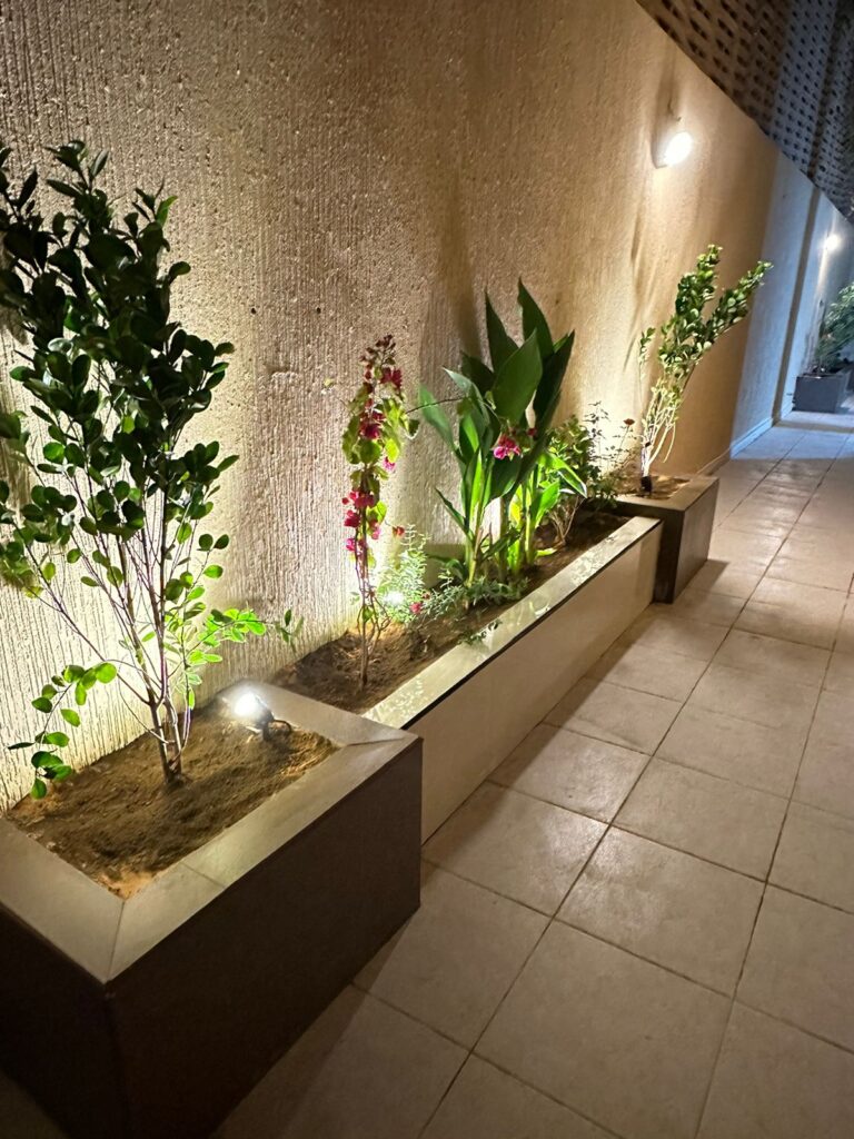 تنسيق حدائق (37)